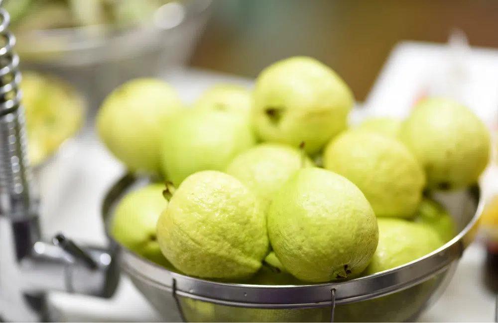 Bowl of pale green guava fruits in a metal colander near a sink faucet, soft green tones, fresh produce mood